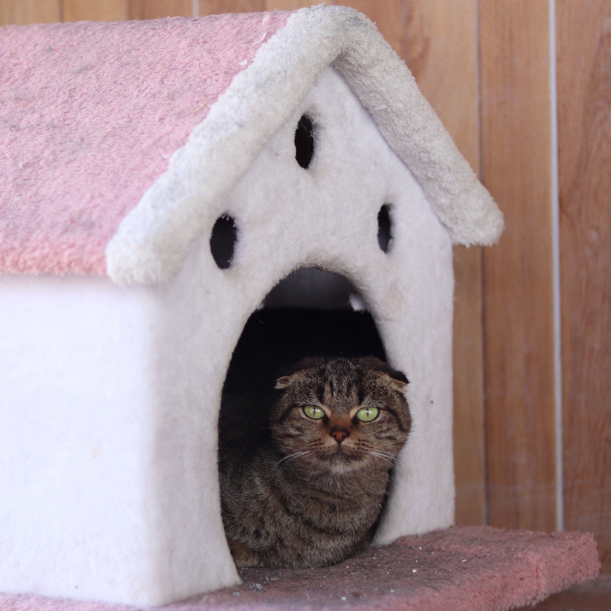 Shelters