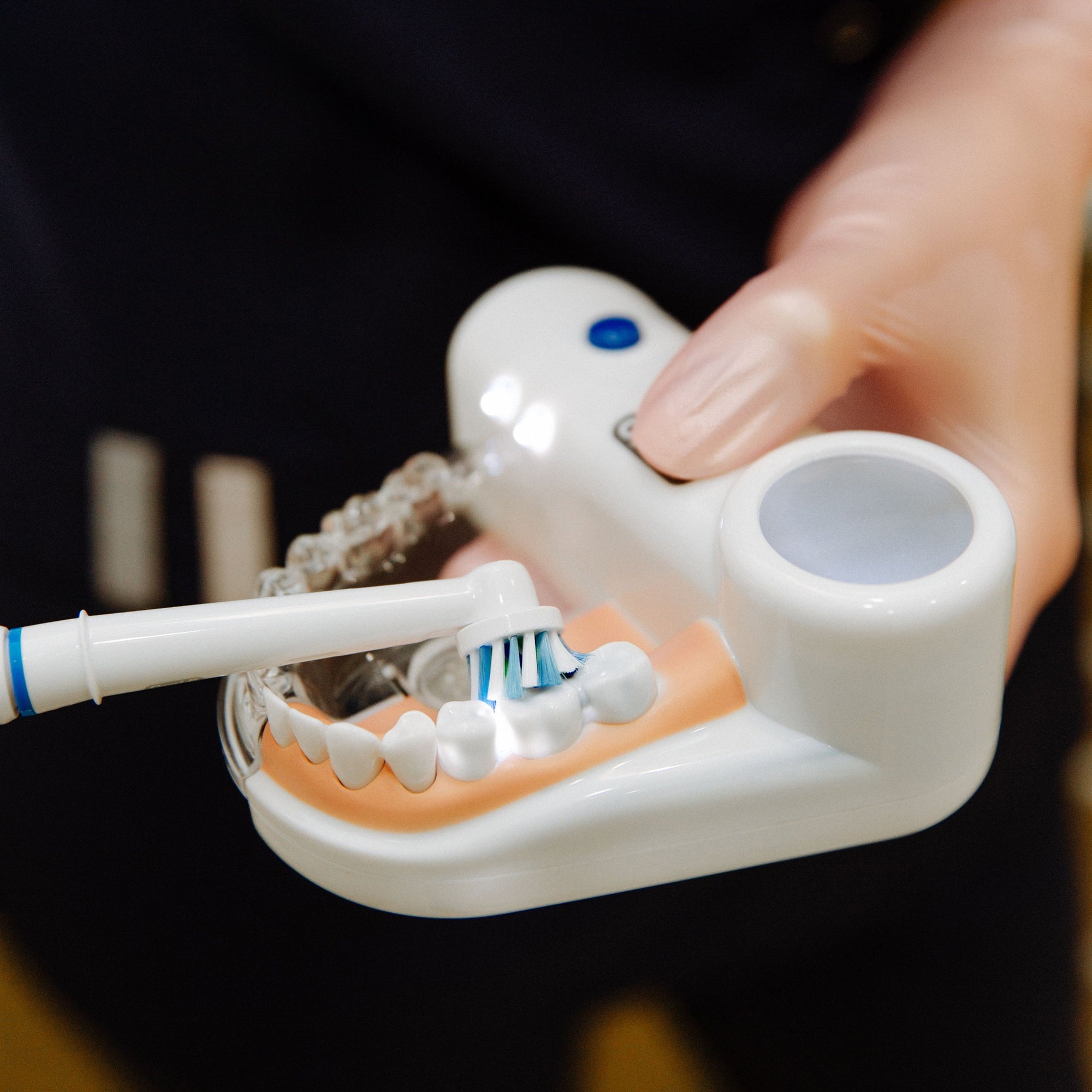 Dental Accessories