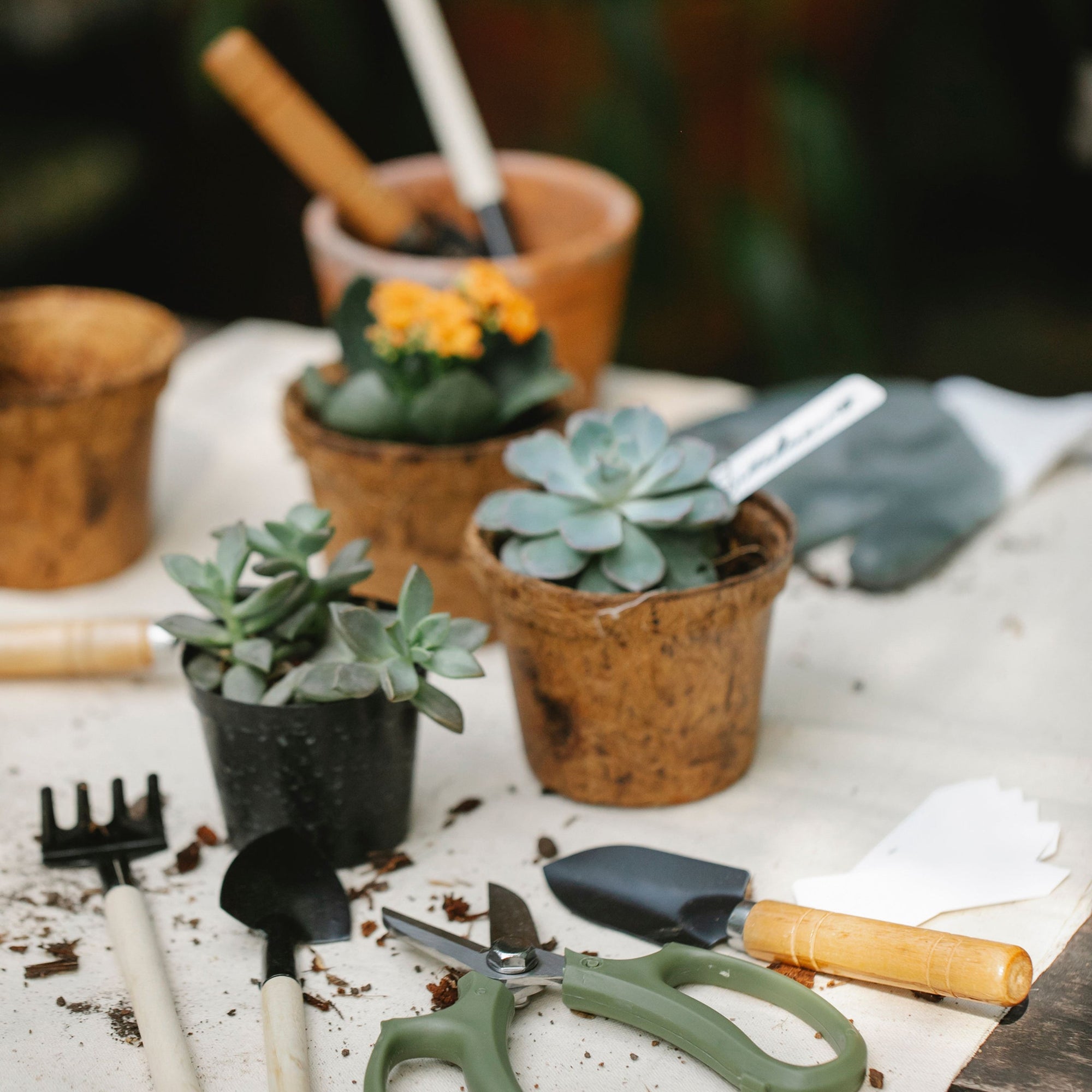 Other Garden Accessories