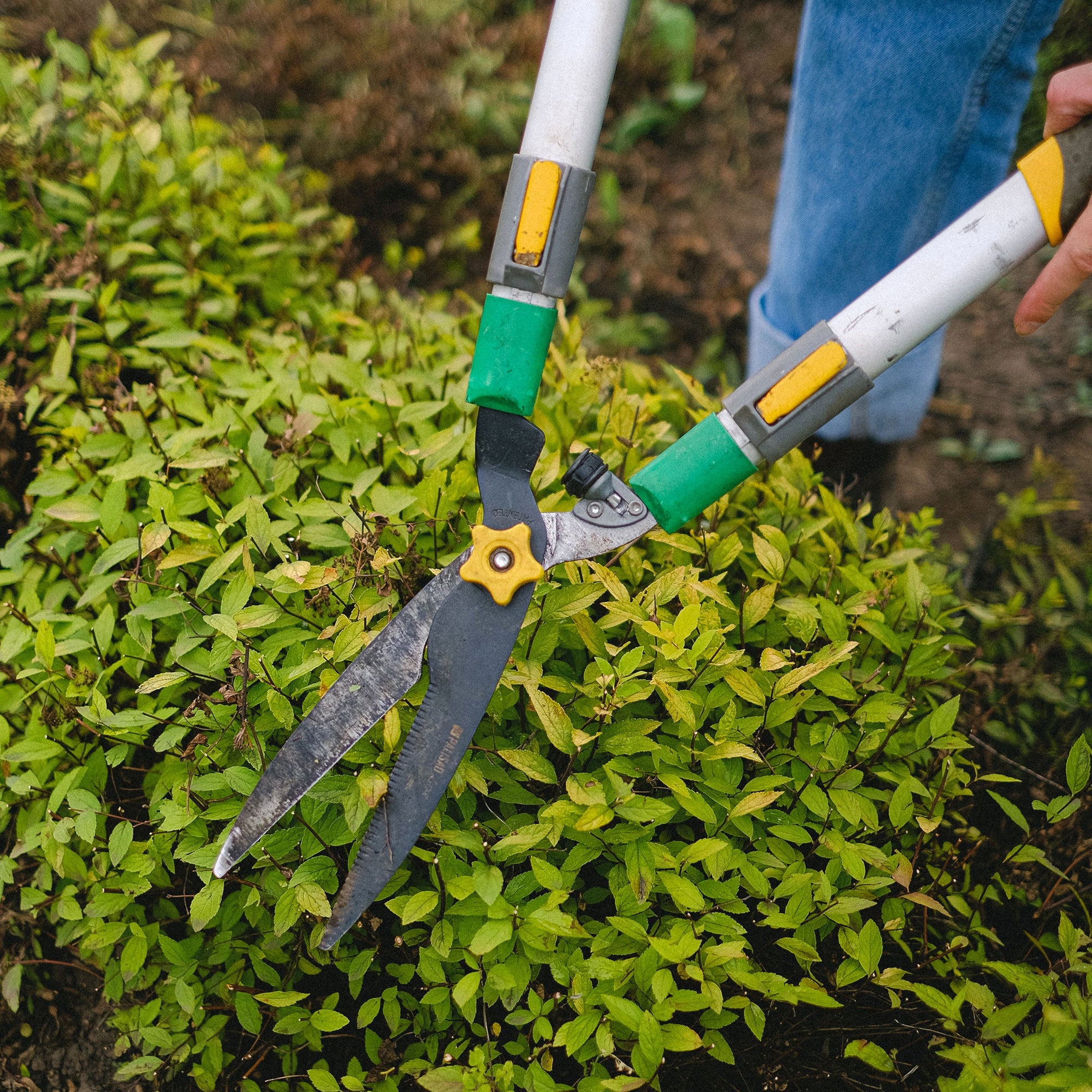 Pruning & Maintenance Tools
