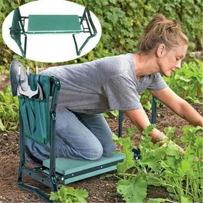 CushiRoot