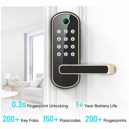 SafeeBolt